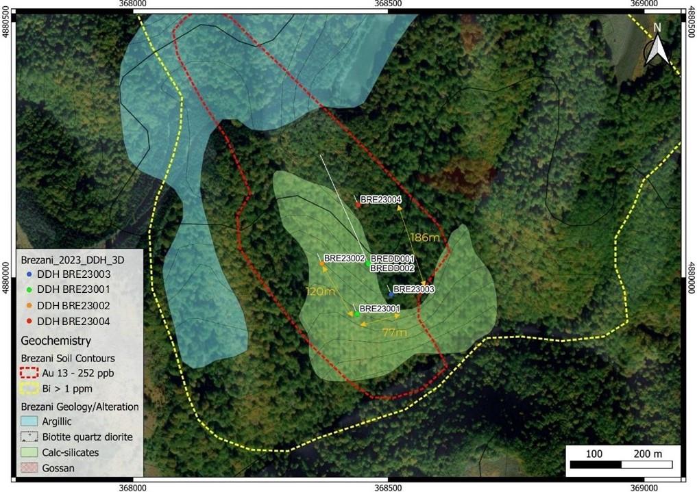 A map of a forest  AI-generated content may be incorrect. 