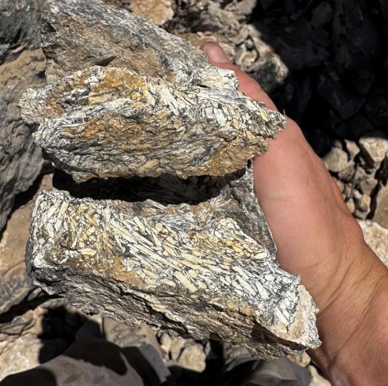 A person holding a rock AI-generated content may be incorrect.